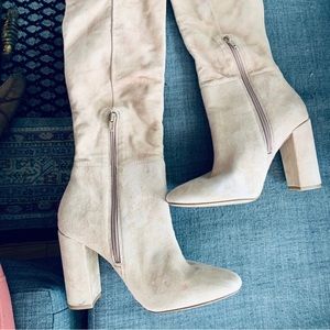Aldo Knee-High Suede Heeled Boots
